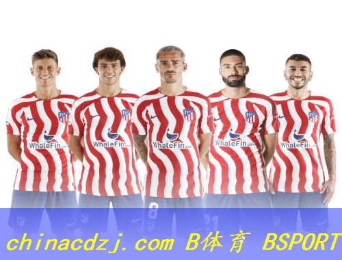 盘锦体育器材篮球厂